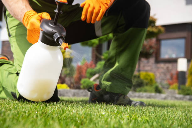 Best Pest Inspection Near Me  in Milaca, MN