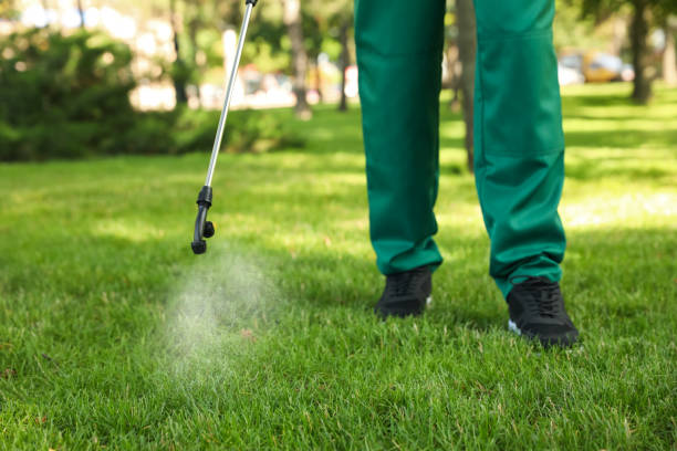 Best Residential Pest Control  in Milaca, MN