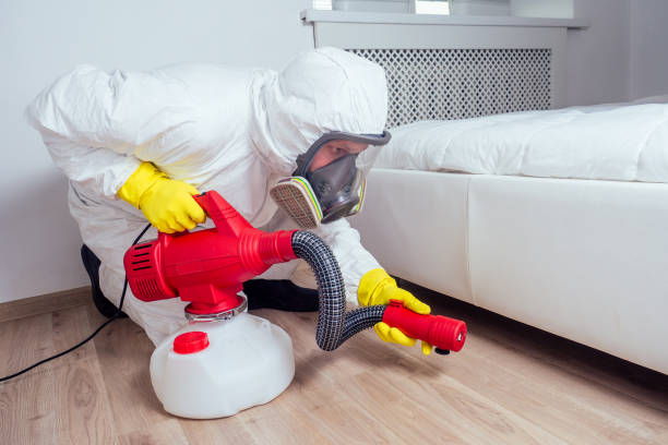 Professional Pest Control in Milaca, MN