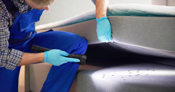 Best Exterminator Services  in Milaca, MN